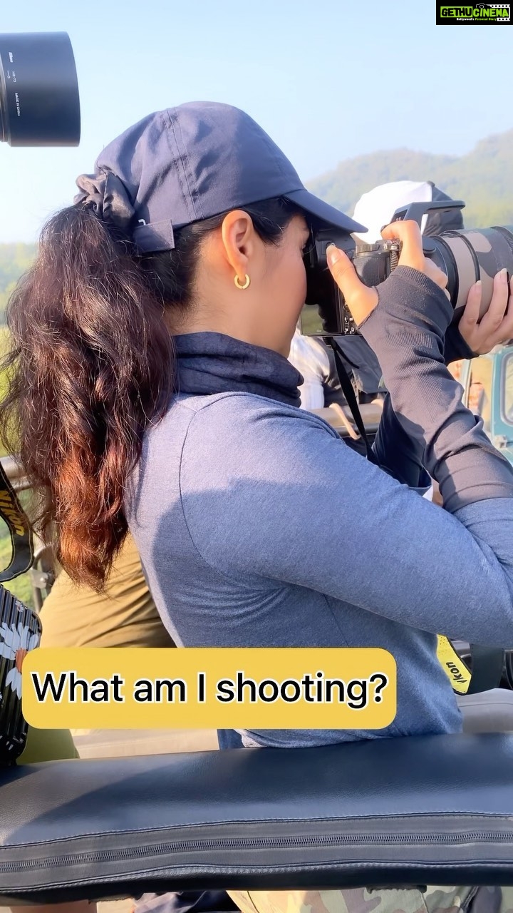 Sadha Instagram - The Physique, the Colour, the Eyes, the Attitude, the Grace… is there anything about this Majestic Species that you can’t love! 😍 #reels #reelsinstagram #reelsvideo #tigers #savetigers #wildlifephotography #wildlife #uttarakhand #tigersofindia #jimcorbett #corbettnationalpark #wildlifeconservation #wildandfree #sadaa #sadaasgreenlife Corbett Tiger Reserve