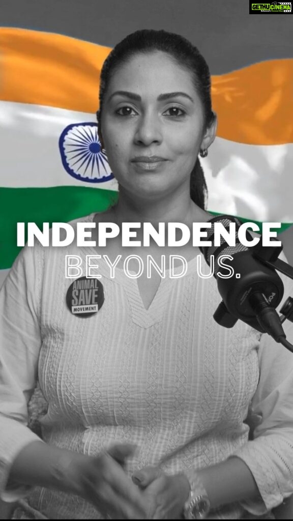 Sadha Instagram - “🇮🇳🕊️ August 15th Celebrating Independence: Freedom Knows No Boundaries 🌍🐾 On this momentous day, we honor the spirit of liberty that beats in every heart and soars through every soul, transcending species and borders. 🌿🌏 Just as we cherish our own freedom, let’s recognize that it’s a shared sentiment that unites us with all creatures of this Earth. 🦁🌱 May our journey towards a better world embrace not only the freedom of humans, but the freedom of every being that graces our planet. 🌎✨ #IndependenceDay #FreedomForAll #BeyondSpecies #OneWorld” India