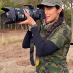Sadha Instagram - She’s got the swag! #pedwali 🫠 it’s tough not to fall in love with her! 💚 #reels #reelsinstagram #reelsvideo #tigers #savetigees #wildlifephotography #wildlife #uttarakhand #tigersofindia #jimcorbett #corbettnationalpark Dhikala, Corbett National Park
