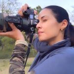 Sadha Instagram - When you keep praying for him to look at you & He finally DOES! ☺️ Xylo, one of the biggest male tigers I have seen, came as a surprise when I was in Belara to see Veera’s cubs.. I’m glad I saw the father of the little ones too! 💚 #tadoba #tadobanationalpark #tadobaandharitigerreserve #tigersofindia #savetigers #tigercubs #veera #veeracubs #sadaa #sadaawildlifephotography #wildlifephotography #wildlife #wildlifeconservation #tigerconservation #natgeoindia #natgeo #natgeowild #natgeotravellerindia Tadoba-Andhari Tiger Reserve