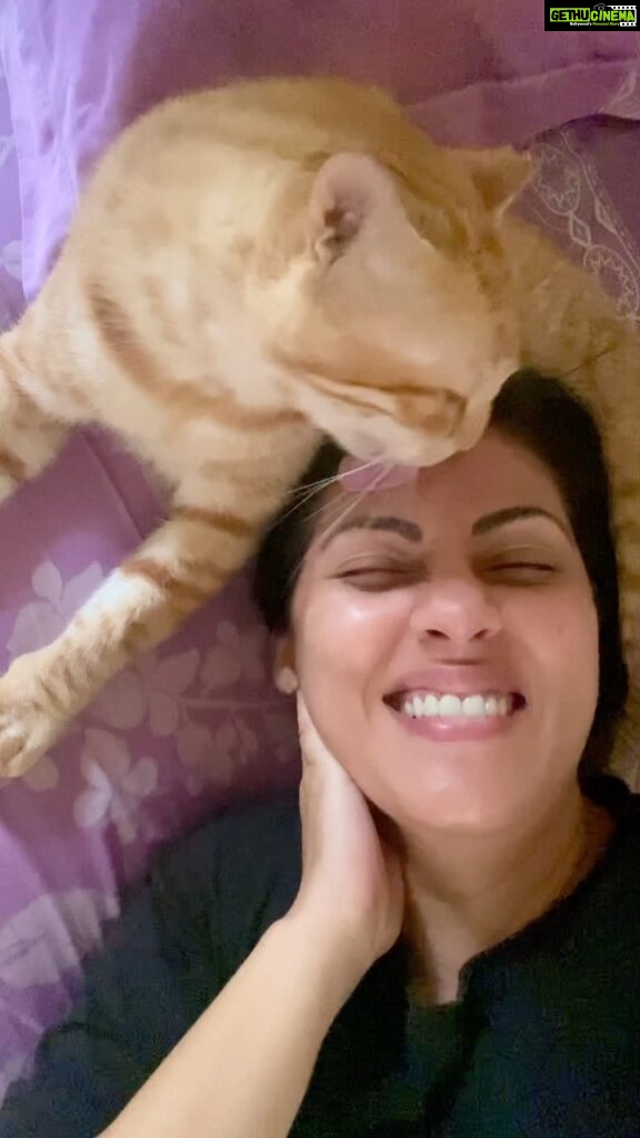 Sadha Instagram - The way he loves me! 🥹 Licking in cats is a purest form of showing affection, love and care, something they pick as kittens from the their mothers. 💚 Cherry, whom I rescued during lockdown, when he was already 8 years old, was critical with a huge maggot wound in his neck. I didn’t leave him back after recovery because he was also diagnosed with chronic asthma. We have come a long way since then. This was just to share how much love adopted animals can bring into your lives. Calling them strays & buying breeds instead is being unfair to both. #adoptdontshop #catmom #saynotobreeders