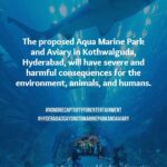 Sadha Instagram - Dear Hyderabadis, As the scorching sun beats down on us and we anxiously await water tankers due to the dried-up groundwater, another challenging situation looms before us. The HMDA's plan to establish India's largest marine park and aviary right here in Hyderabad carries far-reaching negative impacts, not only for us but also for the health of our oceans and the planet as a whole. We urge you to take a moment to educate yourselves about this matter and actively share the information with your friends and family. It is of utmost importance that we understand the potential consequences of this project. Our future and the well-being of our children are at stake. Let's unite to protect our environment, secure a sustainable future, and reject the establishment of such facilities. Join us in raising awareness with the hashtags #HyderabadSaysNoToMarineParkAndAviary and #NoMoreCaptivityForEntertainment. Thank you in advance for your attention and support. Tag the following officials to ensure our voices are heard: @KTRTRS , @TALASANISRINIVASYADAV , @URBANPARKS_OFFICIAL_HYDCIRCLE , #ARVINDKUMAR , #HMDA #kothwalgudaEcoPark #hyderabad #hyderabadnaturelovers