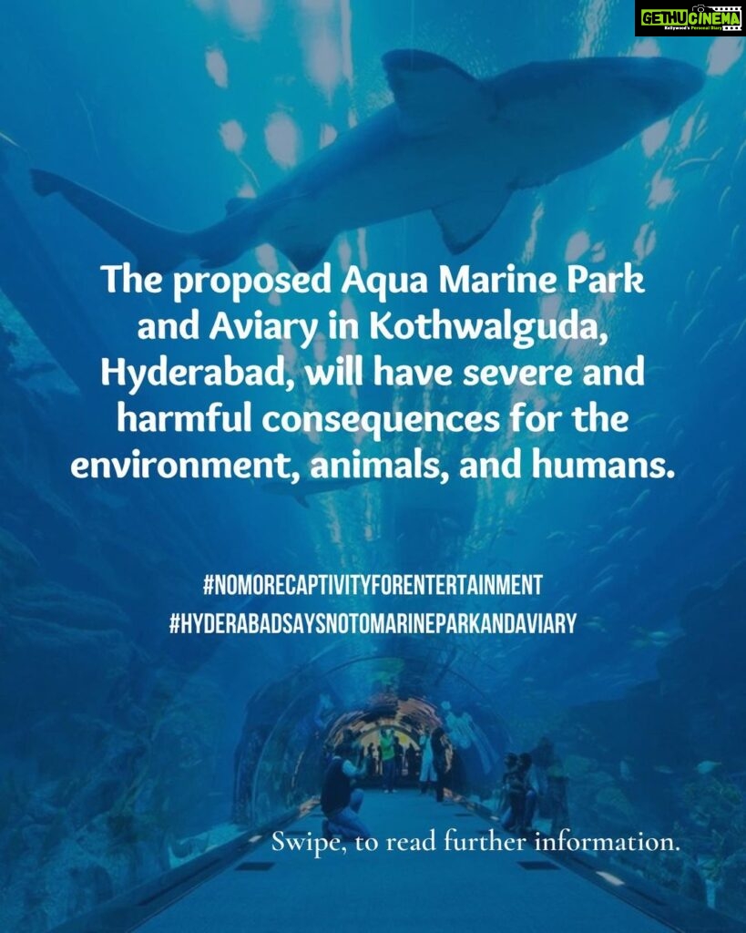 Sadha Instagram - Dear Hyderabadis, As the scorching sun beats down on us and we anxiously await water tankers due to the dried-up groundwater, another challenging situation looms before us. The HMDA's plan to establish India's largest marine park and aviary right here in Hyderabad carries far-reaching negative impacts, not only for us but also for the health of our oceans and the planet as a whole. We urge you to take a moment to educate yourselves about this matter and actively share the information with your friends and family. It is of utmost importance that we understand the potential consequences of this project. Our future and the well-being of our children are at stake. Let's unite to protect our environment, secure a sustainable future, and reject the establishment of such facilities. Join us in raising awareness with the hashtags #HyderabadSaysNoToMarineParkAndAviary and #NoMoreCaptivityForEntertainment. Thank you in advance for your attention and support. Tag the following officials to ensure our voices are heard: @KTRTRS , @TALASANISRINIVASYADAV , @URBANPARKS_OFFICIAL_HYDCIRCLE , #ARVINDKUMAR , #HMDA #kothwalgudaEcoPark #hyderabad #hyderabadnaturelovers