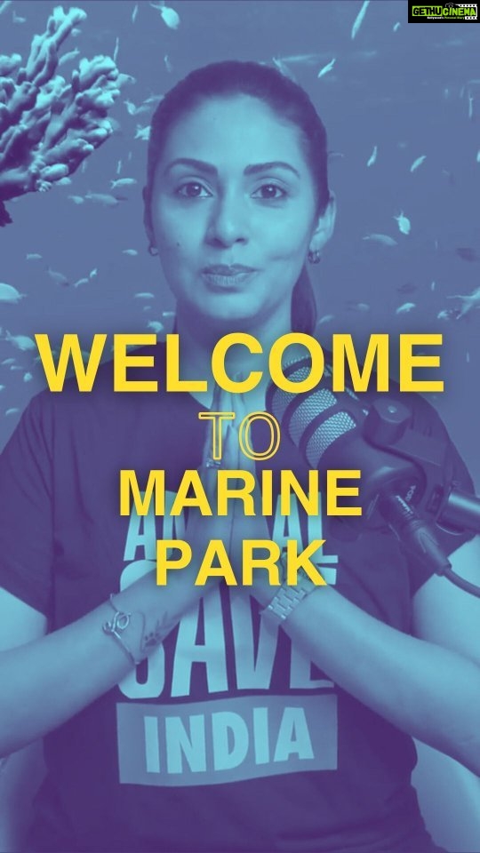 Sadha Instagram - Protecting Our Oceans: Say NO to India's Largest Marine Park & Aviary in Hyderabad! 🚫🌊 Join the movement and sign the petition now. Spread the word to make a difference! Click the link in @animalsaveindia 's bio and send the email NOW! #SaveOurOceans #Hyderabad #PetitionPower #Aquarium #Explore #Vegan #AnimalSaveIndia Hyderabad City