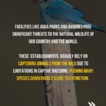 Sadha Instagram - Dear Hyderabadis, As the scorching sun beats down on us and we anxiously await water tankers due to the dried-up groundwater, another challenging situation looms before us. The HMDA's plan to establish India's largest marine park and aviary right here in Hyderabad carries far-reaching negative impacts, not only for us but also for the health of our oceans and the planet as a whole. We urge you to take a moment to educate yourselves about this matter and actively share the information with your friends and family. It is of utmost importance that we understand the potential consequences of this project. Our future and the well-being of our children are at stake. Let's unite to protect our environment, secure a sustainable future, and reject the establishment of such facilities. Join us in raising awareness with the hashtags #HyderabadSaysNoToMarineParkAndAviary and #NoMoreCaptivityForEntertainment. Thank you in advance for your attention and support. Tag the following officials to ensure our voices are heard: @KTRTRS , @TALASANISRINIVASYADAV , @URBANPARKS_OFFICIAL_HYDCIRCLE , #ARVINDKUMAR , #HMDA #kothwalgudaEcoPark #hyderabad #hyderabadnaturelovers