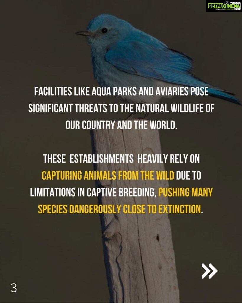 Sadha Instagram - Dear Hyderabadis, As the scorching sun beats down on us and we anxiously await water tankers due to the dried-up groundwater, another challenging situation looms before us. The HMDA's plan to establish India's largest marine park and aviary right here in Hyderabad carries far-reaching negative impacts, not only for us but also for the health of our oceans and the planet as a whole. We urge you to take a moment to educate yourselves about this matter and actively share the information with your friends and family. It is of utmost importance that we understand the potential consequences of this project. Our future and the well-being of our children are at stake. Let's unite to protect our environment, secure a sustainable future, and reject the establishment of such facilities. Join us in raising awareness with the hashtags #HyderabadSaysNoToMarineParkAndAviary and #NoMoreCaptivityForEntertainment. Thank you in advance for your attention and support. Tag the following officials to ensure our voices are heard: @KTRTRS , @TALASANISRINIVASYADAV , @URBANPARKS_OFFICIAL_HYDCIRCLE , #ARVINDKUMAR , #HMDA #kothwalgudaEcoPark #hyderabad #hyderabadnaturelovers