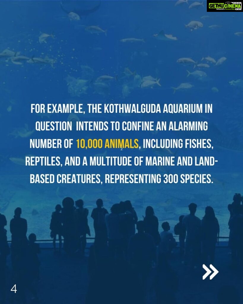 Sadha Instagram - Dear Hyderabadis, As the scorching sun beats down on us and we anxiously await water tankers due to the dried-up groundwater, another challenging situation looms before us. The HMDA's plan to establish India's largest marine park and aviary right here in Hyderabad carries far-reaching negative impacts, not only for us but also for the health of our oceans and the planet as a whole. We urge you to take a moment to educate yourselves about this matter and actively share the information with your friends and family. It is of utmost importance that we understand the potential consequences of this project. Our future and the well-being of our children are at stake. Let's unite to protect our environment, secure a sustainable future, and reject the establishment of such facilities. Join us in raising awareness with the hashtags #HyderabadSaysNoToMarineParkAndAviary and #NoMoreCaptivityForEntertainment. Thank you in advance for your attention and support. Tag the following officials to ensure our voices are heard: @KTRTRS , @TALASANISRINIVASYADAV , @URBANPARKS_OFFICIAL_HYDCIRCLE , #ARVINDKUMAR , #HMDA #kothwalgudaEcoPark #hyderabad #hyderabadnaturelovers