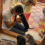 Sai Dhanshika Instagram - Taking baby Rachel home on Independence Day has made this day even more significant. I recognize that having a being in our lives comes with great responsibility, but life would be incomplete without a dog. I am incredibly grateful to @dogsofmadras for connecting me with this newborn pup, which is exactly what I was hoping for. I also want to express my gratitude to Devi, @maxysamy who rescued a pregnant dog and nurtured a newborn baby with utmost care. I aspire to do the same. #adoptdontshop #adoptindiandogs #givehometohomeless #soultosoul 🥰