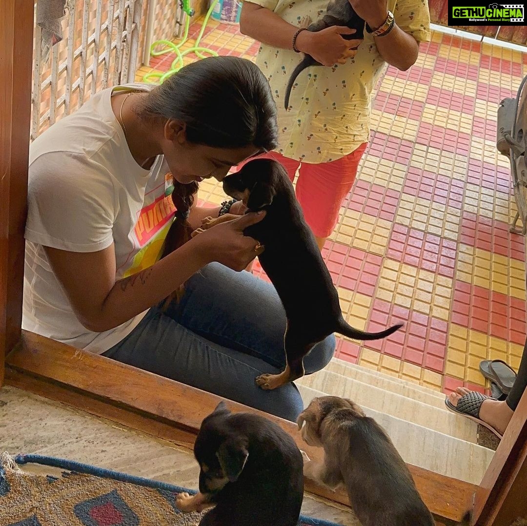 Sai Dhanshika Instagram - Taking baby Rachel home on Independence Day has made this day even more significant. I recognize that having a being in our lives comes with great responsibility, but life would be incomplete without a dog. I am incredibly grateful to @dogsofmadras for connecting me with this newborn pup, which is exactly what I was hoping for. I also want to express my gratitude to Devi, @maxysamy who rescued a pregnant dog and nurtured a newborn baby with utmost care. I aspire to do the same. #adoptdontshop #adoptindiandogs #givehometohomeless #soultosoul 🥰