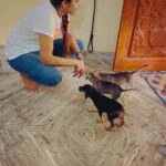 Sai Dhanshika Instagram - Taking baby Rachel home on Independence Day has made this day even more significant. I recognize that having a being in our lives comes with great responsibility, but life would be incomplete without a dog. I am incredibly grateful to @dogsofmadras for connecting me with this newborn pup, which is exactly what I was hoping for. I also want to express my gratitude to Devi, @maxysamy who rescued a pregnant dog and nurtured a newborn baby with utmost care. I aspire to do the same. #adoptdontshop #adoptindiandogs #givehometohomeless #soultosoul 🥰