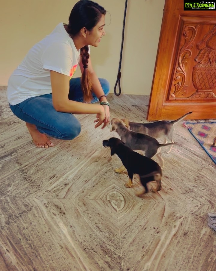 Sai Dhanshika Instagram - Taking baby Rachel home on Independence Day has made this day even more significant. I recognize that having a being in our lives comes with great responsibility, but life would be incomplete without a dog. I am incredibly grateful to @dogsofmadras for connecting me with this newborn pup, which is exactly what I was hoping for. I also want to express my gratitude to Devi, @maxysamy who rescued a pregnant dog and nurtured a newborn baby with utmost care. I aspire to do the same. #adoptdontshop #adoptindiandogs #givehometohomeless #soultosoul 🥰