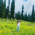 Sai Pallavi Instagram - State of mind: Serene