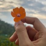 Sai Pallavi Instagram - Tranquil…