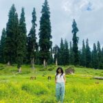 Sai Pallavi Instagram – State of mind: Serene