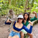 Samantha Instagram - Spot the monkey😎🥰 @anushaswamy Monkey Forest Ubud Bali