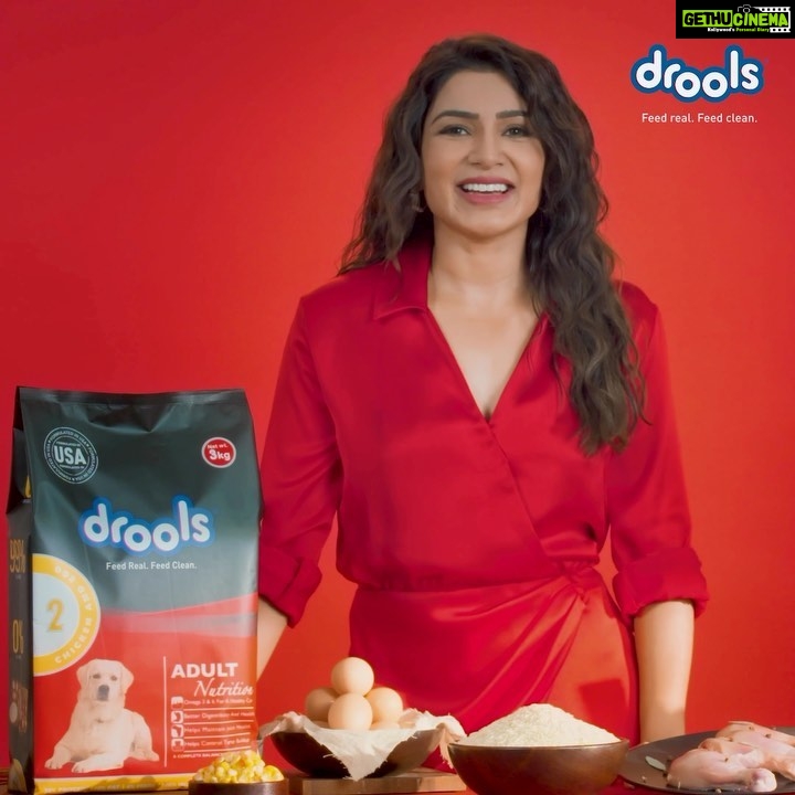 Samantha Instagram - Drools Daily Nutrition is a mix of 100% real chicken and egg with zero fillers and no by products. It is a super nutritious way for your dogs to get their daily intake of protein and vitamins. It helps them build strong muscles, have trouble-free skin, & a shinier coat! Make your dogs the happiest & healthiest with Drools Daily Nutrition Feed Real. Feed Clean. Feed Drools 🐾❤️ @Droolsindia #dailynutrition #petnutrition #petfood #petparents #pethealth #pets #droolsindia
