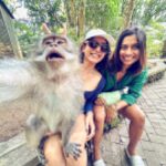 Samantha Instagram - Spot the monkey😎🥰 @anushaswamy Monkey Forest Ubud Bali