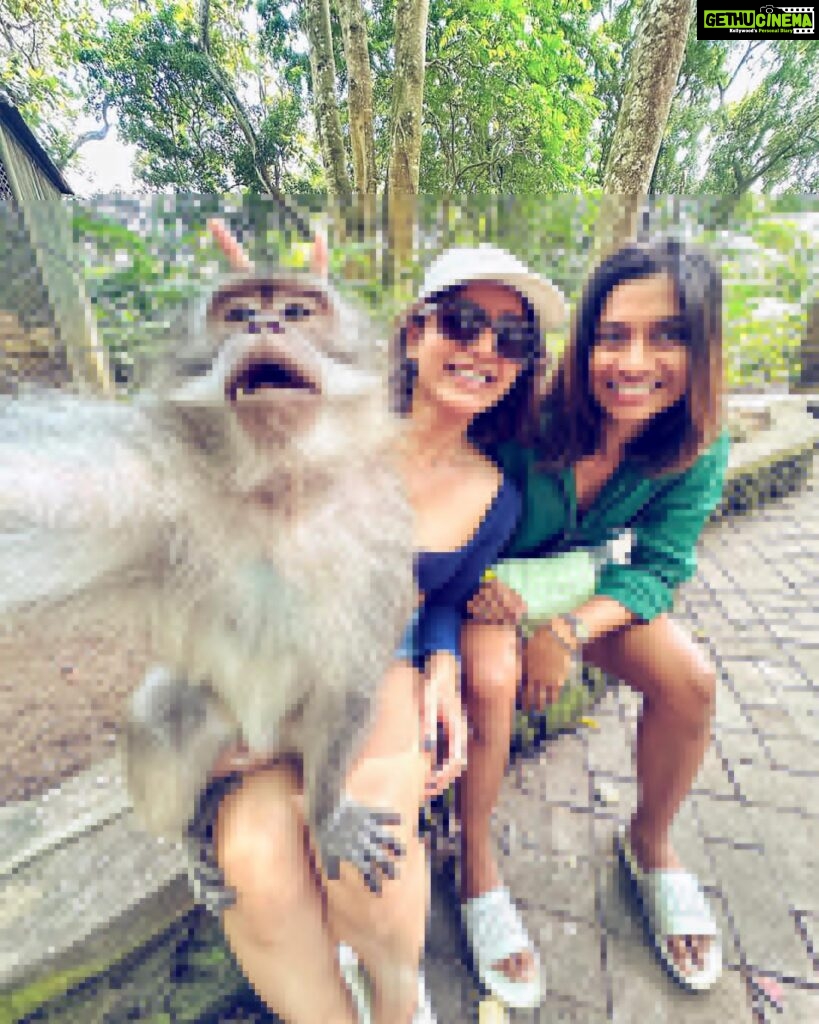 Samantha Instagram - Spot the monkey😎🥰 @anushaswamy Monkey Forest Ubud Bali