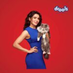 Samantha Instagram - Created to enhance the well-being of your feline, Drools Cat Food is a mix of crunchy chunks packed with real mackerel and sardines. It provides complete nutrition for cats and is enriched with essential vitamins and minerals, making your cat happy, healthy & full of energy! ❤️🐾 #cats #catfood #catparents #droolsindia #petfood