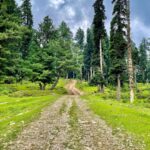 Samara Tijori Instagram - Kashmir Photo dump pt2 🌿