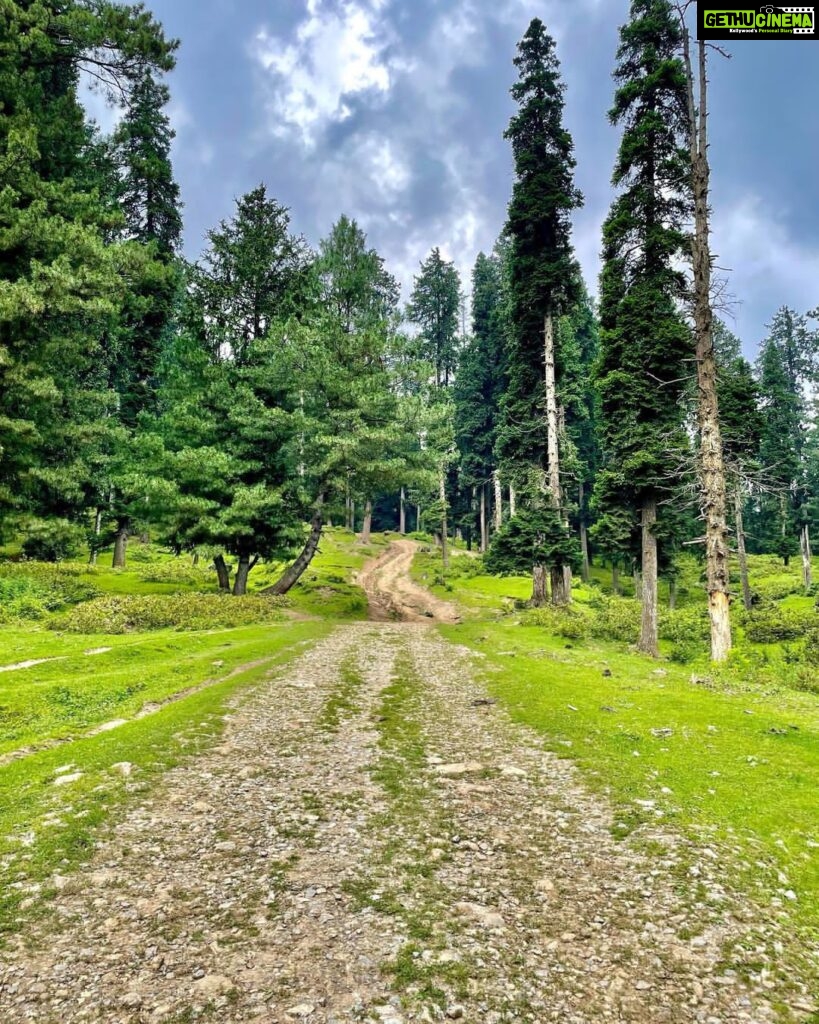 Samara Tijori Instagram - Kashmir Photo dump pt2 🌿