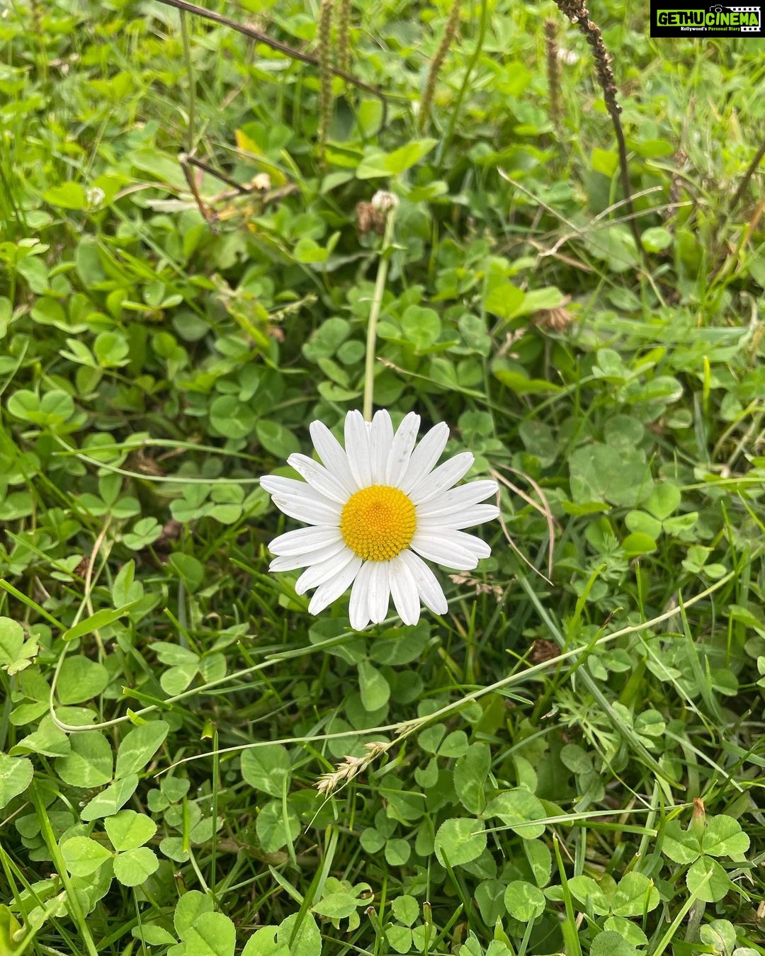 Samara Tijori Instagram - Kashmir Photo dump pt2 🌿