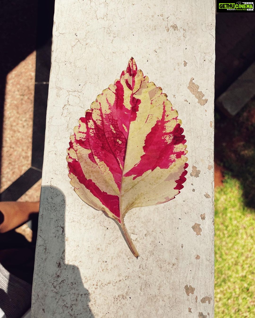 Samara Tijori Instagram - Went to Bangalore and stayed with my Best Friend for the weekend , and it somehow helped me. A lot.