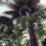 Samara Tijori Instagram - Went to Bangalore and stayed with my Best Friend for the weekend , and it somehow helped me. A lot.