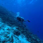 Samyuktha Hegde Instagram – Feeling blue in the best way possible!
Maldives dump 🏝️ 
Soooo much travel stuff i have in my gallery! 

#islandgirl #maldives #ocean #waterbaby