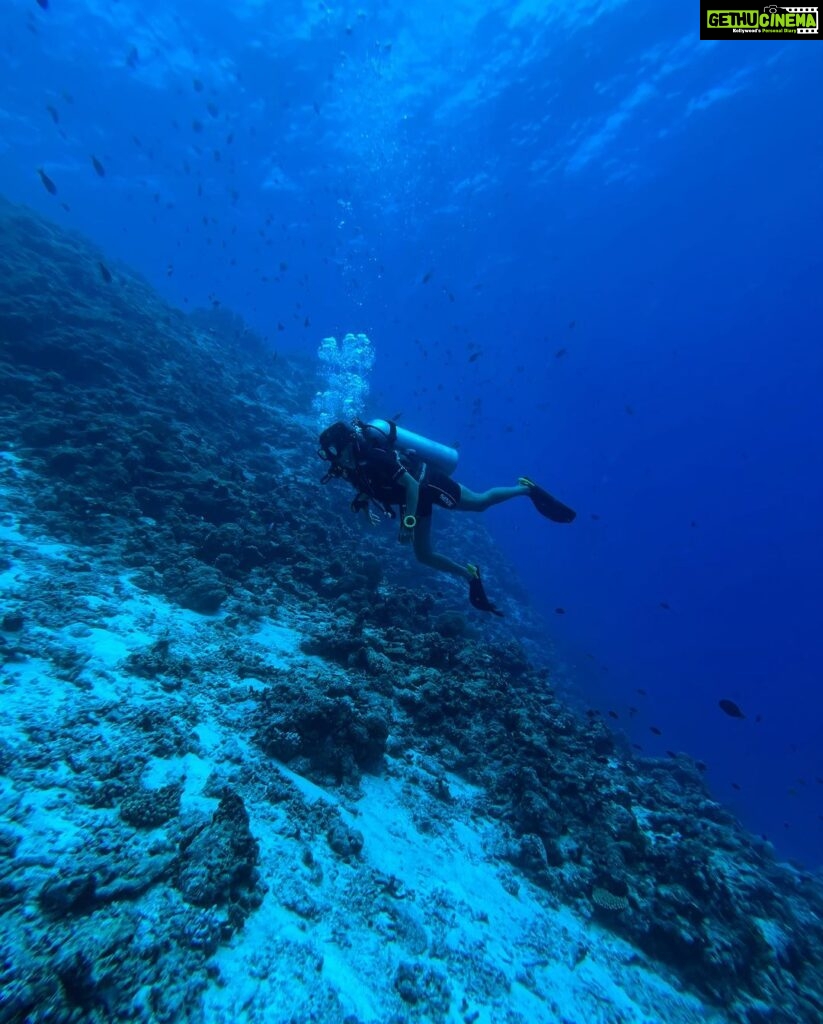 Samyuktha Hegde Instagram - Feeling blue in the best way possible! Maldives dump 🏝 Soooo much travel stuff i have in my gallery! #islandgirl #maldives #ocean #waterbaby