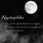 Samyuktha Varma Instagram – 🌒