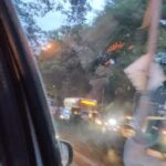 Sanam Shetty Instagram – Back to traffic n trees.. gummornin busy bees! 

 #bangalore