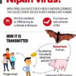 Sanam Shetty Instagram - Not again! Stay safe peeps. Two deaths reported in Kerala. Let's hope it's contained but please have masks on while traveling to limit infections. #nipahvirus #kerala #nipahoutbreak #maskon
