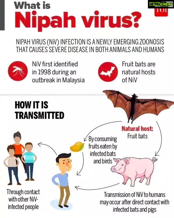 Sanam Shetty Instagram - Not again! Stay safe peeps. Two deaths reported in Kerala. Let's hope it's contained but please have masks on while traveling to limit infections. #nipahvirus #kerala #nipahoutbreak #maskon