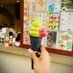 Sarah Jane Dias Instagram - match-a contemplation 😜 . #travelgram #traveldiaries #matchaicecream #matcha #japan #japanfiles #japandiaries #travel #instatravel #instafood #instafoodie Kyoto, Japan