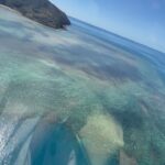 Sayani Gupta Instagram – The next day we went to the 🩵 Reef 
(Beauty that envelopes everything)

1. Manifesting an action film in a helicopter 

2. Heart reef : very few things come close to nature being cute & grandeur at once!

3. The colours I’d only seen in a crayon box.. not even! This patch took my breath away. This video doesn’t come close to what it actually looked like.

4. I don’t cry easily. But nature gets me. My whole life flashed in front of me.. just being here in this moment. This comes closest to feeling close to the Divine. 
Had to take this photo as a reminder.. How far You’ve come! 
But I am probably still pouting 🫣

5. Spotted a Ray (how clear must the water be)!

6. 🐋 (must have seen a dozen whales with families migrating on this day)

7. Just being us! @smritikiran 

8. Bruce was lovely! Said we can’t imagine how lucky we are with the weather! Apparently rarest clear days. We told him he has the best job in the world. He told us how he got here. What a story again #respect 

9. Our baby heli 

10. Can be at this seat for ♾️

@whitsundaysQLD @queensland @australia #seeaustralia #thisisqueensland #lovewhitsundays @intercontinentalhaymanisland 

#nofilterneeded