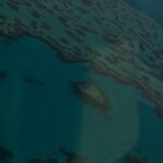 Sayani Gupta Instagram – Flew through clear blue skies, walked on pearl white sand, swam in the turquoise Pacific, hiked through 🌳to the Sunset. All today. 

While seeing a dozen whales, three sharks and being surrounded by tens of wallabies. 

Gasped, wept, laughed, jumped, prayed.

Only gratitude. I have no words. 

@smritikiran @whitsundaysQLD @queensland @australia #seeaustralia #thisisqueensland #lovewhitsundays 

This has gotta be one of the prettiest spots on the planet. Hayman Island