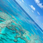 Sayani Gupta Instagram – Flew through clear blue skies, walked on pearl white sand, swam in the turquoise Pacific, hiked through 🌳to the Sunset. All today. 

While seeing a dozen whales, three sharks and being surrounded by tens of wallabies. 

Gasped, wept, laughed, jumped, prayed.

Only gratitude. I have no words. 

@smritikiran @whitsundaysQLD @queensland @australia #seeaustralia #thisisqueensland #lovewhitsundays 

This has gotta be one of the prettiest spots on the planet. Hayman Island
