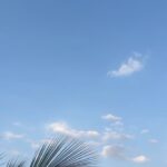Sayli Patil Instagram - 🌅☁️🥭