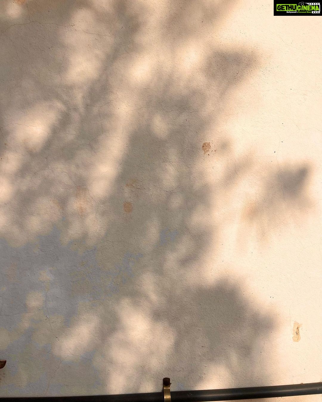 Sayli Patil Instagram - Last few days of cotton Kurtis and beautiful golden hours🧡:)
