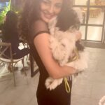 Seerat Kapoor Instagram - My little fur friend Marcello joined me on set and brighten up my evening! 💕