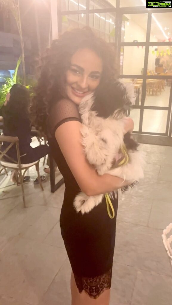 Seerat Kapoor Instagram - My little fur friend Marcello joined me on set and brighten up my evening! 💕