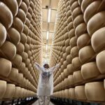 Shakti Mohan Instagram - jus being cheesy 🧀 👀 So much fun being in the Parmesan cheese factory in Parma,Italy✌🏼 @italiait @foodvalley Parma, Italy