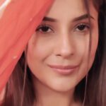 Shehnaaz Kaur Gill Instagram - ❤️