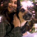 Shibani Dandekar Instagram - Evenings are best enjoyed with pets and videos are best enjoyed without any shakes – shoot videos without any shake or blur with Samsung Galaxy F54 #54ReasonsToLove54 #SamsungF54onFlipkart Get your hands on Samsung Galaxy F54 only at ₹27,999* or ₹3,111* per month with No Cost EMI – available exclusively on @flipkart and @flipkarttechspert Pre-Order Now Or you can just participate in the contest and get it for FREE! CONTEST ALERT: Share your reason for falling in love with the all new #SamsungGalaxyF54 and 5 Lucky Winners with the best entries stand a chance to win the all new Samsung Galaxy F54. Follow these steps to participate- > Share your reasons in comments or through a Post/Reel. > Use the hashtags #54ReasonsToLoveF54 #SamsungF54onFlipkart > Tag @flipkart @flipkarttechspert