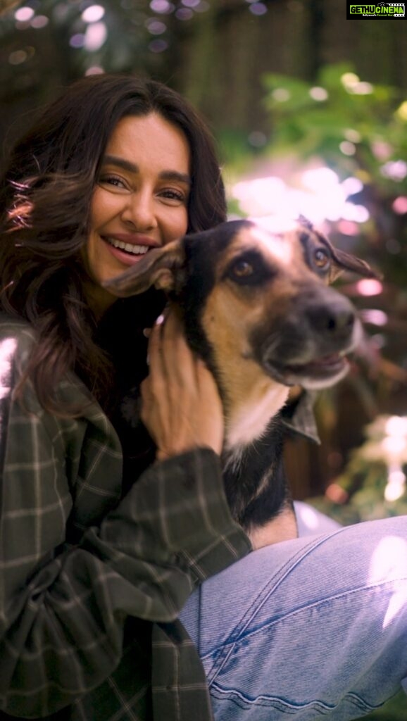 Shibani Dandekar Instagram - Evenings are best enjoyed with pets and videos are best enjoyed without any shakes – shoot videos without any shake or blur with Samsung Galaxy F54 #54ReasonsToLove54 #SamsungF54onFlipkart Get your hands on Samsung Galaxy F54 only at ₹27,999* or ₹3,111* per month with No Cost EMI – available exclusively on @flipkart and @flipkarttechspert Pre-Order Now Or you can just participate in the contest and get it for FREE! CONTEST ALERT: Share your reason for falling in love with the all new #SamsungGalaxyF54 and 5 Lucky Winners with the best entries stand a chance to win the all new Samsung Galaxy F54. Follow these steps to participate- > Share your reasons in comments or through a Post/Reel. > Use the hashtags #54ReasonsToLoveF54 #SamsungF54onFlipkart > Tag @flipkart @flipkarttechspert