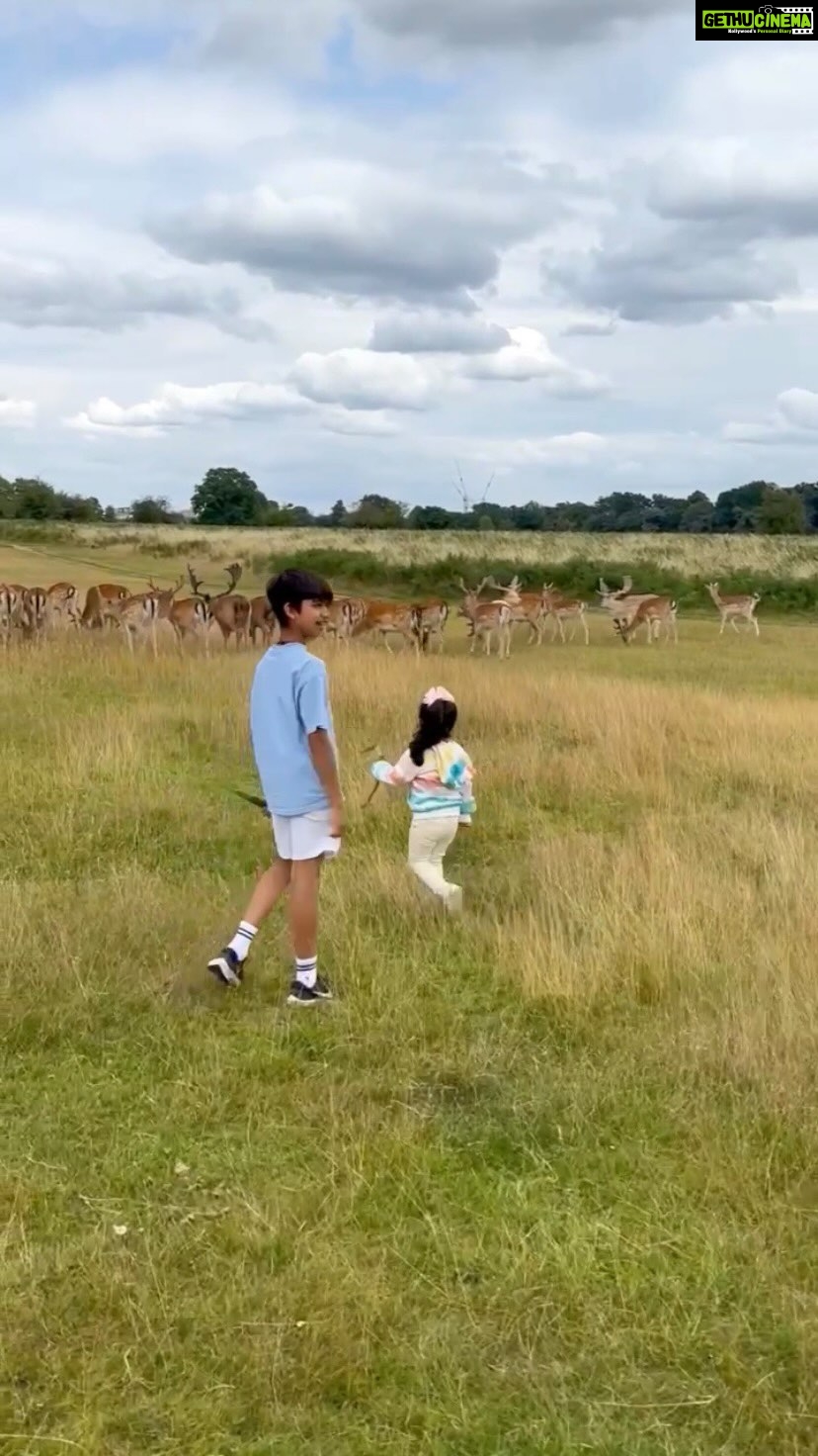 Shilpa Shetty Instagram - Holidays end🥹 Memories are forever❤️ The joys of seeing ‘Bambuuuu’ aka Bambi 😂🤣stay with you for life 🦌😆🥰 #LondonDiaries #familytime #vacaymode #gratitude #blessed #throwback #tbt #throwbackthursday