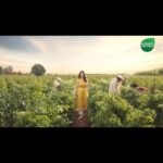 Shilpa Shetty Instagram - When it comes to food, knowing where your produce comes from is as important as eating healthy. I am extremely particular about the quality of fruits and vegetables that my family eats. That’s exactly why we trust @kisankonnect.india! They deliver the best quality farm-fresh goodness with care from farm to home by maintaining the strictest quality standards including soil quality. Additionally, KisanKonnect also lets you trace the source of all produce, so our loved ones only eat the best food. KisanKonnect, truly, is aapka apna farmers’ market. #ad #SwasthRahoMastRaho #kisankonnect #farmersmarket #aapkaapnafarmersmarket #loveyoursoil #regenerativefarming #farmtofork #kisankonnectshilpashetty #eatrightfromthefarm #eatright #freshfood #safefood #fitindia #healthyindia #cleaneating