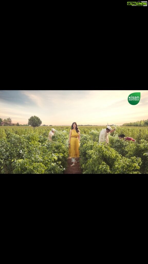 Shilpa Shetty Instagram - When it comes to food, knowing where your produce comes from is as important as eating healthy. I am extremely particular about the quality of fruits and vegetables that my family eats. That’s exactly why we trust @kisankonnect.india! They deliver the best quality farm-fresh goodness with care from farm to home by maintaining the strictest quality standards including soil quality. Additionally, KisanKonnect also lets you trace the source of all produce, so our loved ones only eat the best food. KisanKonnect, truly, is aapka apna farmers’ market. #ad #SwasthRahoMastRaho #kisankonnect #farmersmarket #aapkaapnafarmersmarket #loveyoursoil #regenerativefarming #farmtofork #kisankonnectshilpashetty #eatrightfromthefarm #eatright #freshfood #safefood #fitindia #healthyindia #cleaneating