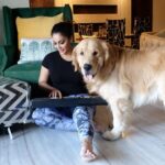 Shilpi Sharma Instagram – Music and Waffle is Fun 🤩🐶🎧🎶.
.
.
.
#goldenretriever #keyboard #music #learningmusic #dog